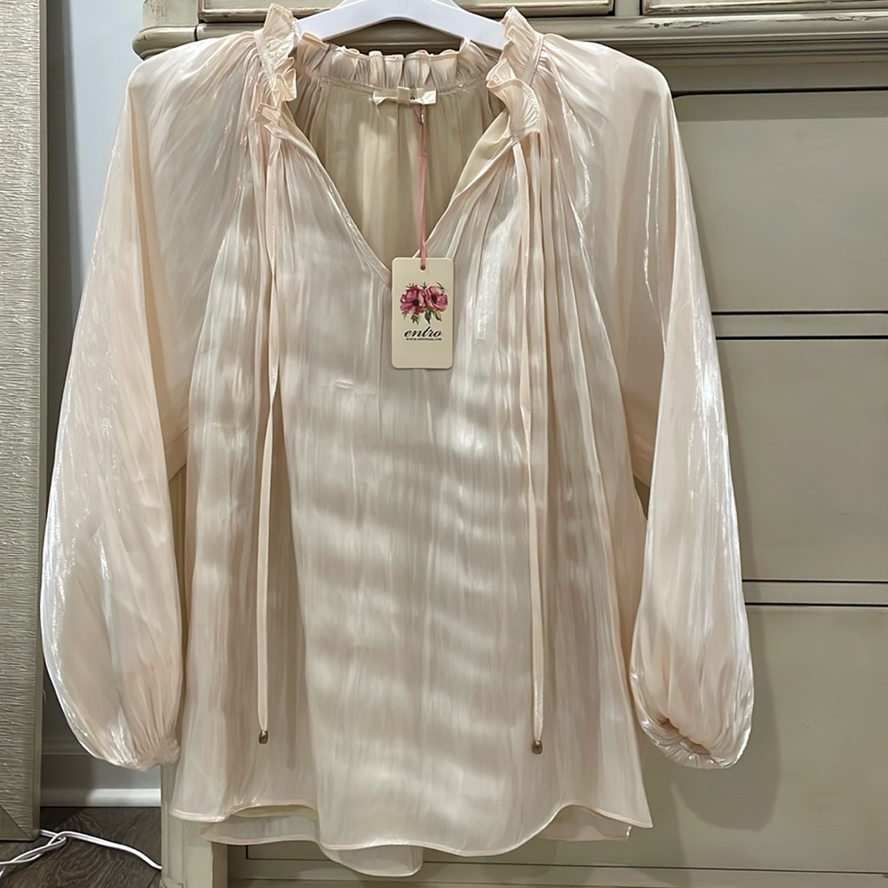 Entro semi sheer long sleeve top. Size M MWT